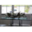 Glass Plate Magnolia Floral Arrangement And Centerpiece In Planter-2118726097-2065420248
