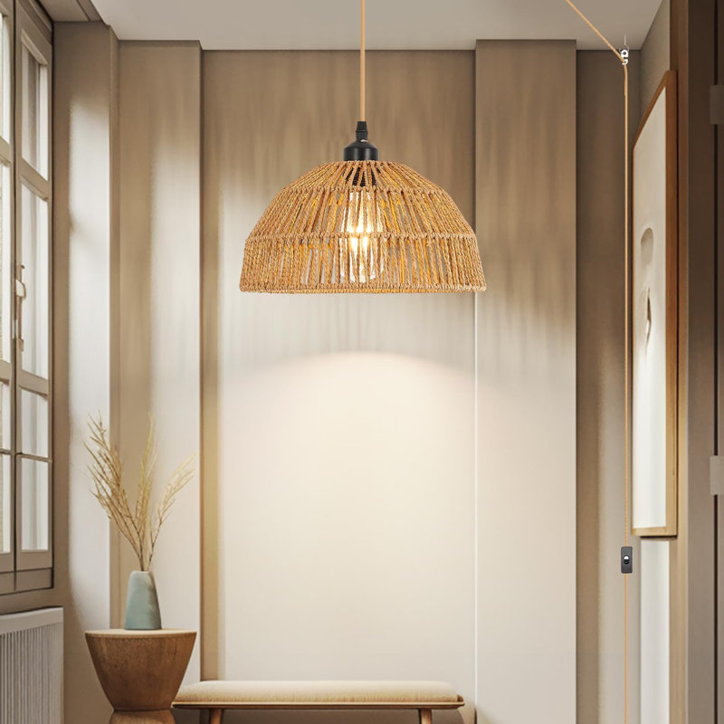 Luminaire suspendu simple en acier inoxydable à DEL 1 lumière Sasser