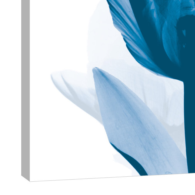 «Lust Blue Tulip_H30», impression sur toile tendue, H 36 po x l 36 po