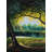 Lakeside Forest | Oil On Canvas For Wall Decor | By Devraj