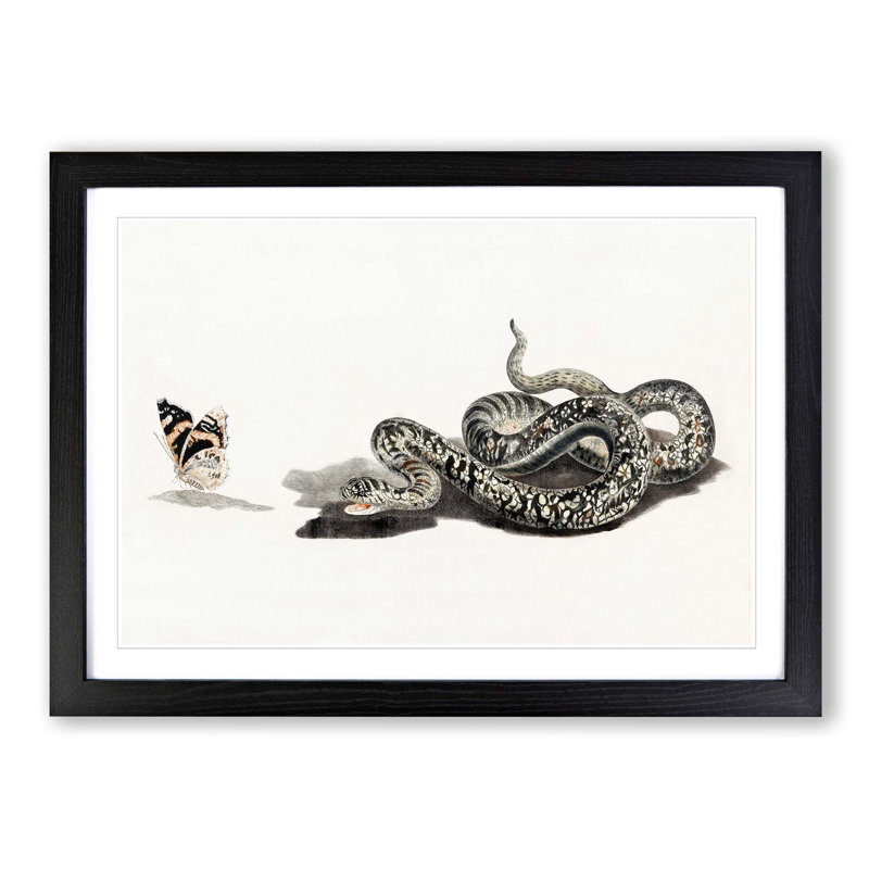 Snake & Butterfly by Johan Teyler - Picture Frame Painting Print, Black Framed, 48cm H x 65cm W x 2cm D