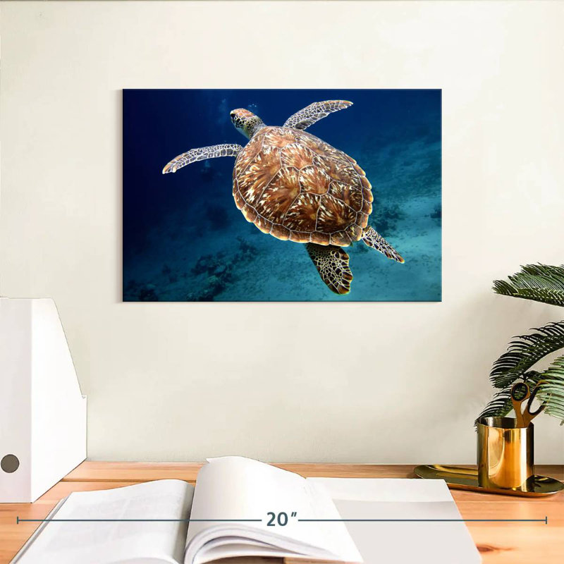 Brampt Swimming Turtle, 8" H x 12" W