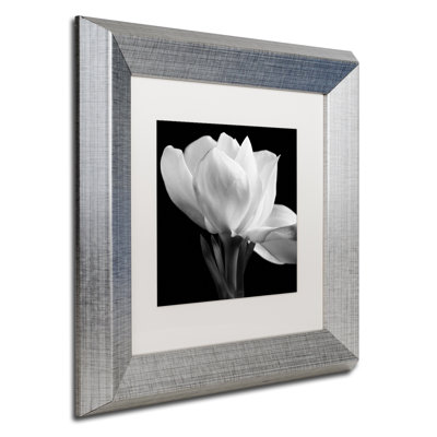 " Gardenia " by Michael Harrison