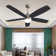 Ceiling Fan with LED Lights