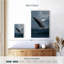 Baleine à bosse-2135450035
