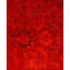 Overdyed One-of-a-Kind 5' 1" X 5' 1" Hand Knotted Area Rug
