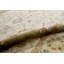 Wool Oriental Area Rug in Sand/Beige