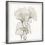 Single Picture Frame Print-37818068