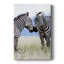 Affection africaine - galerie Cavas sur mesure-1165793878