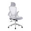 Kjeld Mesh Office Chair with Headrest-317871094
