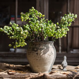Silk Berry Arrangement