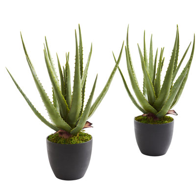 18'' Faux Aloe Plant in Planter