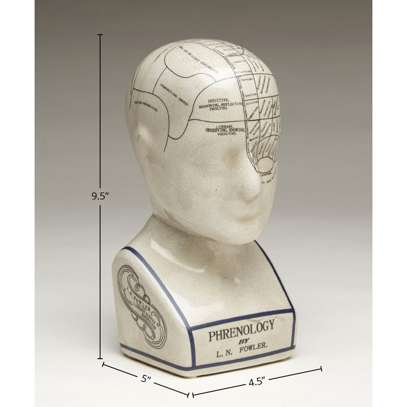 Buste Crrenle Phrenology, H 9,5 po x l 4,5 po x P 5 po