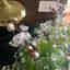 Photos des clients 3 de 3