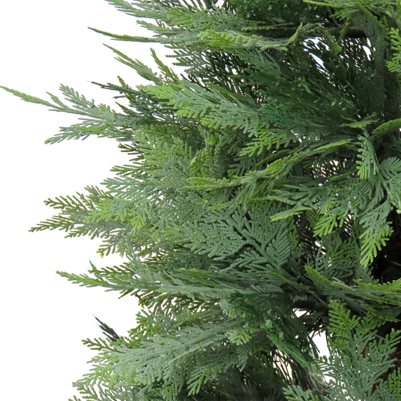 The Holiday Aisle® 5 ft. Cypress Tree in Nursery Pot