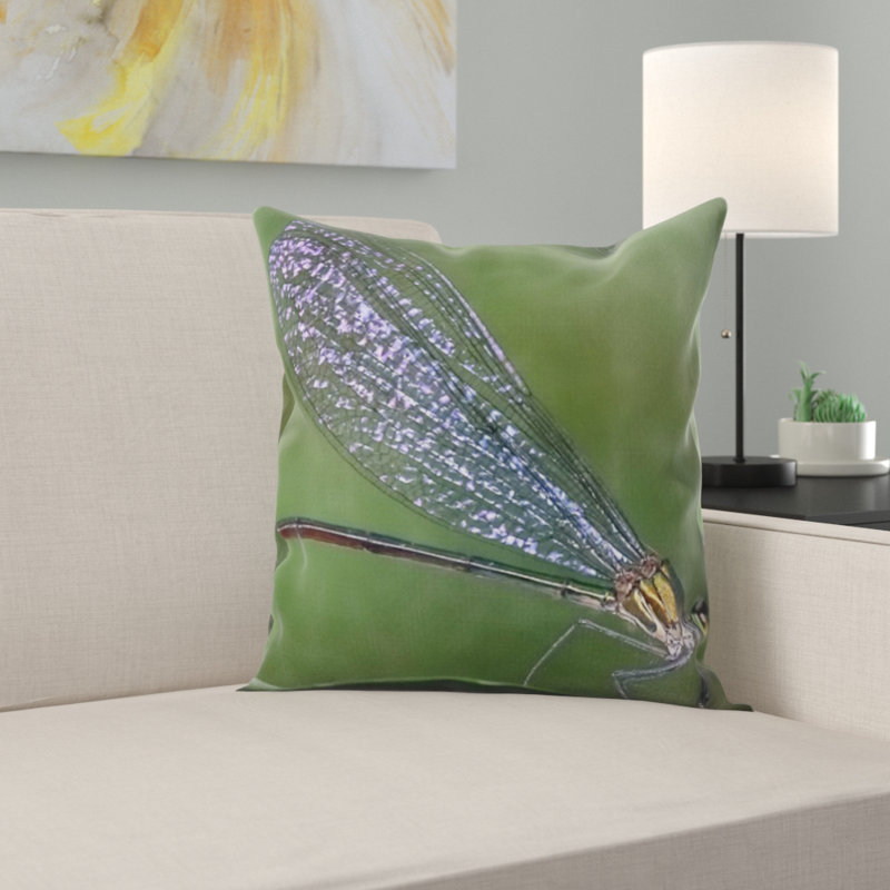 Coussin damselfly