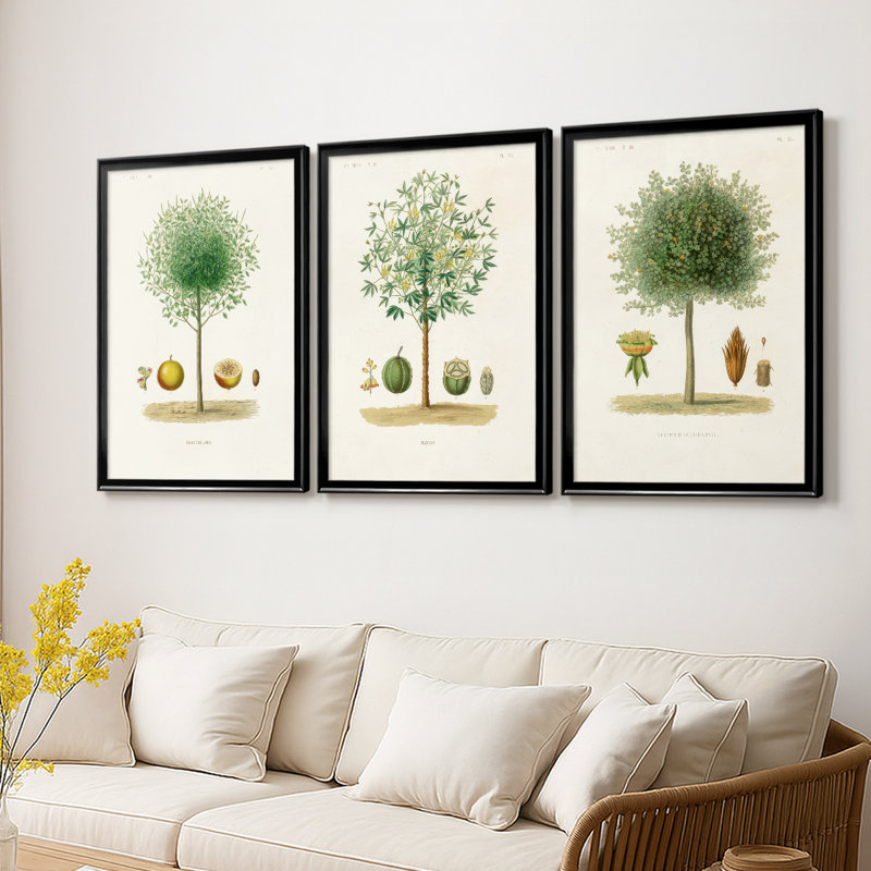 Arbre antique avec fruit VII - Toile tendue avec châssis sur mesure - 3 pièces, 21" H x 30" W, Noir