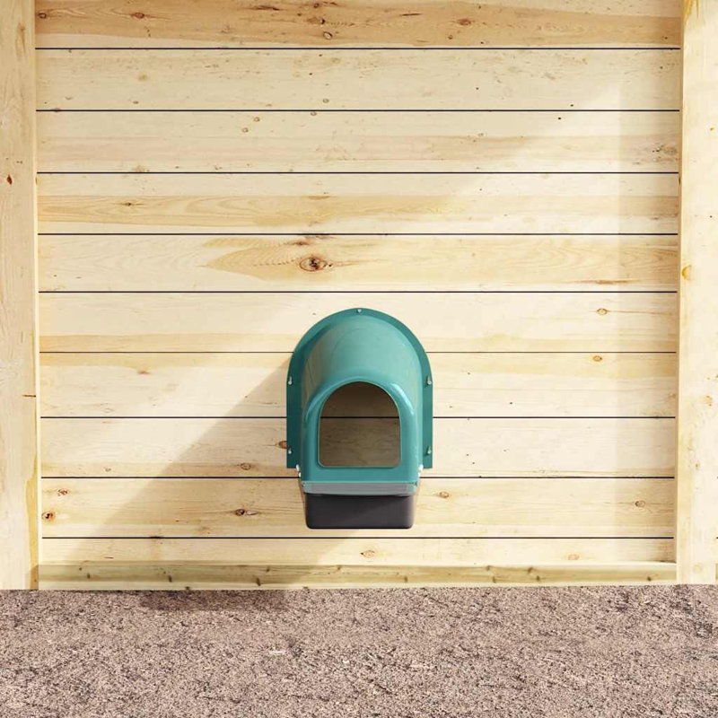 Chicken Coop