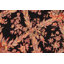 Tapis de style oriental en laine noué à la main rectangulaire noir 5 pi 1 po x 8 pi 2 po Parkerson