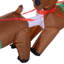 Weather Resistant Christmas Decoration