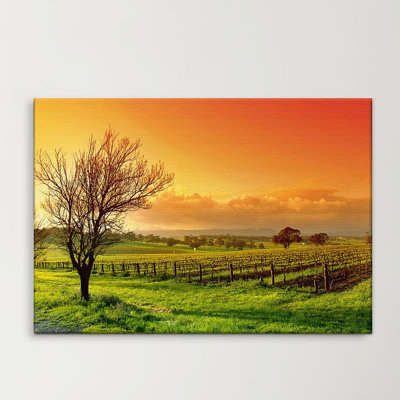 Vineyard - Wrapped Canvas Print