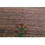Tapis brun brun tribal Gabbeh 3 x 5