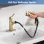 Robinet de lavabo de salle de bain à poignée simple en acier inoxydable avec douchette extractible-111170887