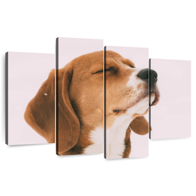 Brampt Beagle, 54" H x 84" W