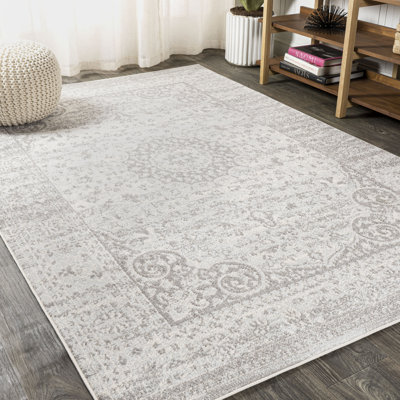 Droitwich Ornate Bohemian Medallion Gray/Cream Rug