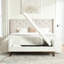 Cochran Cochran 64 po Cochran Cochran-130146261-130146263