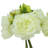 Peony Stems-2001072918
