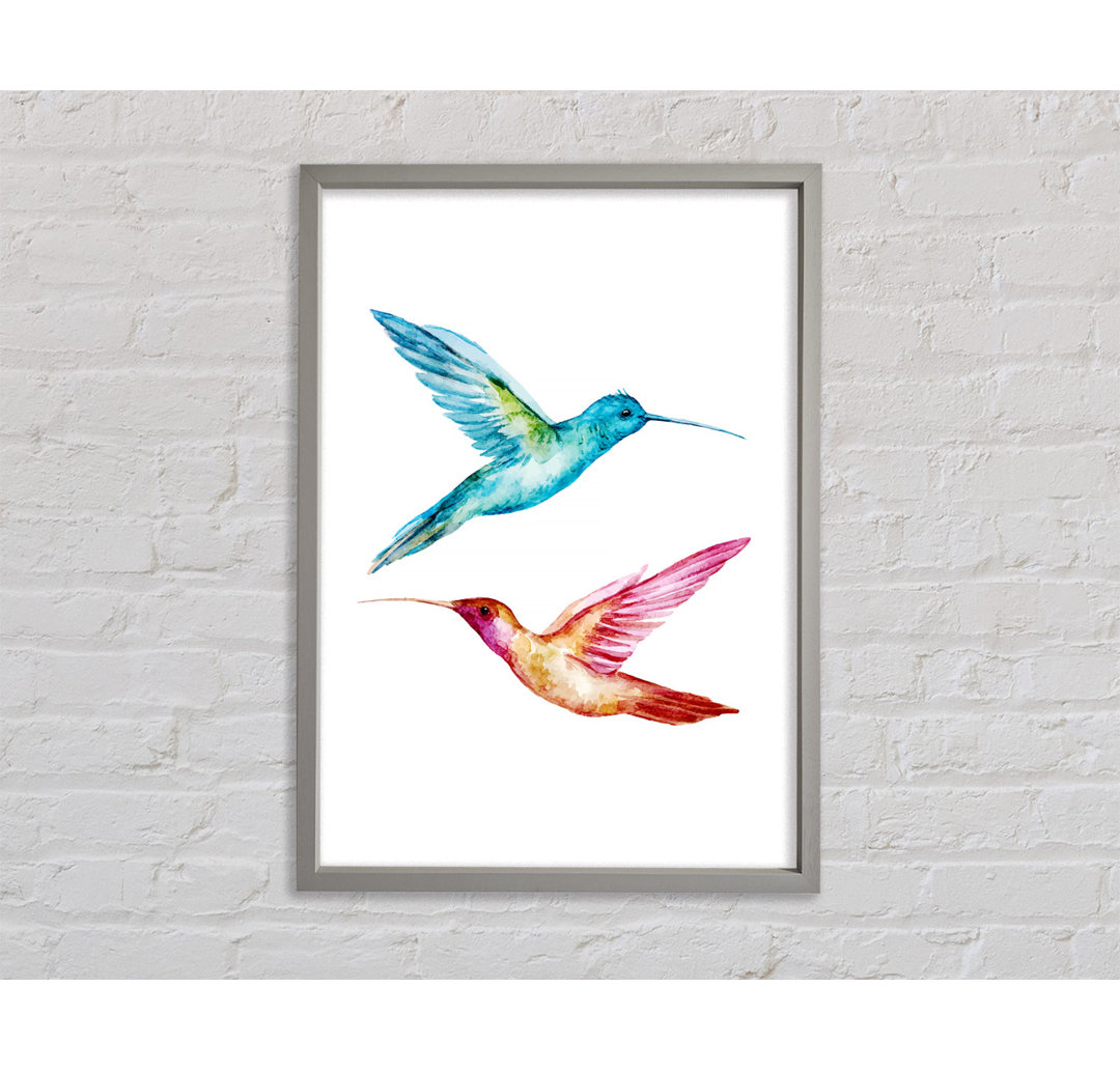 Hummingbird Duo - Druck