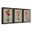 «Botanical Array VII», ensemble de 3 impressions sur toile encadrées-1387990129-1387990133