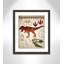Adhésif décoratif dinosaures - 01 pi-47836273-47836263