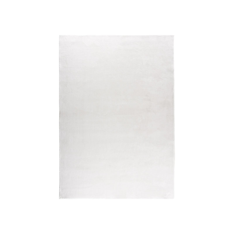 Anuj 240cm X 350cm Area Rug