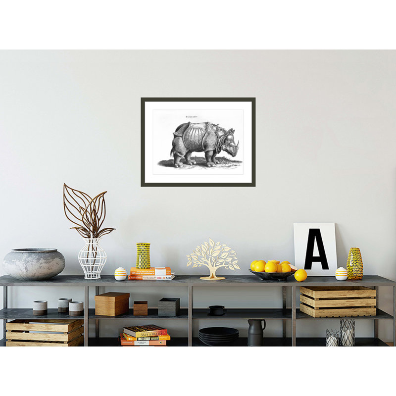 «Rhinoceros no 76» par «historique animal» par Conrad Gesner (1516-65) par Albrecht Dürer, impression giclée encadrée
