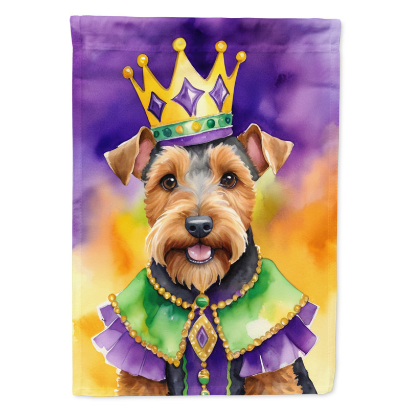 Double Sided 40'' H x 28'' W Polyester Mardi Gras House Flag
