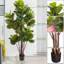 Figuier artificiel figuier - plante artificielle en pot pour la maison et le bureau-1026929446