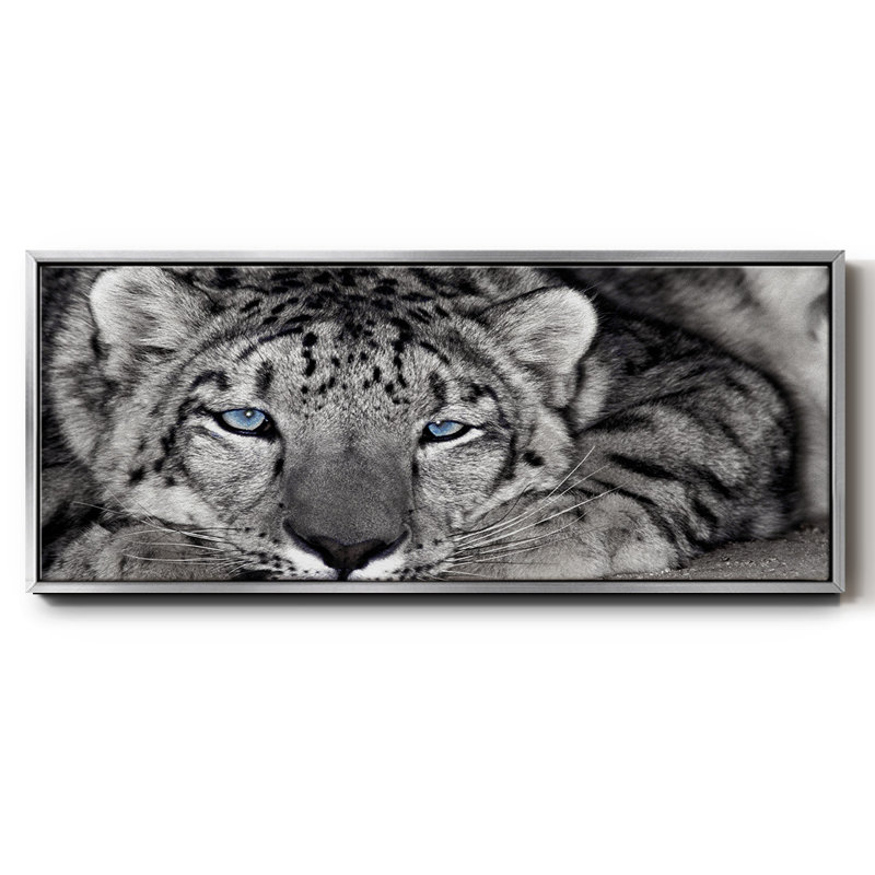 Snow Leopard Sanctuary- Framed Canvas, 12" H x 30" W