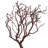 Manzanita Tree Natural 24", Dried