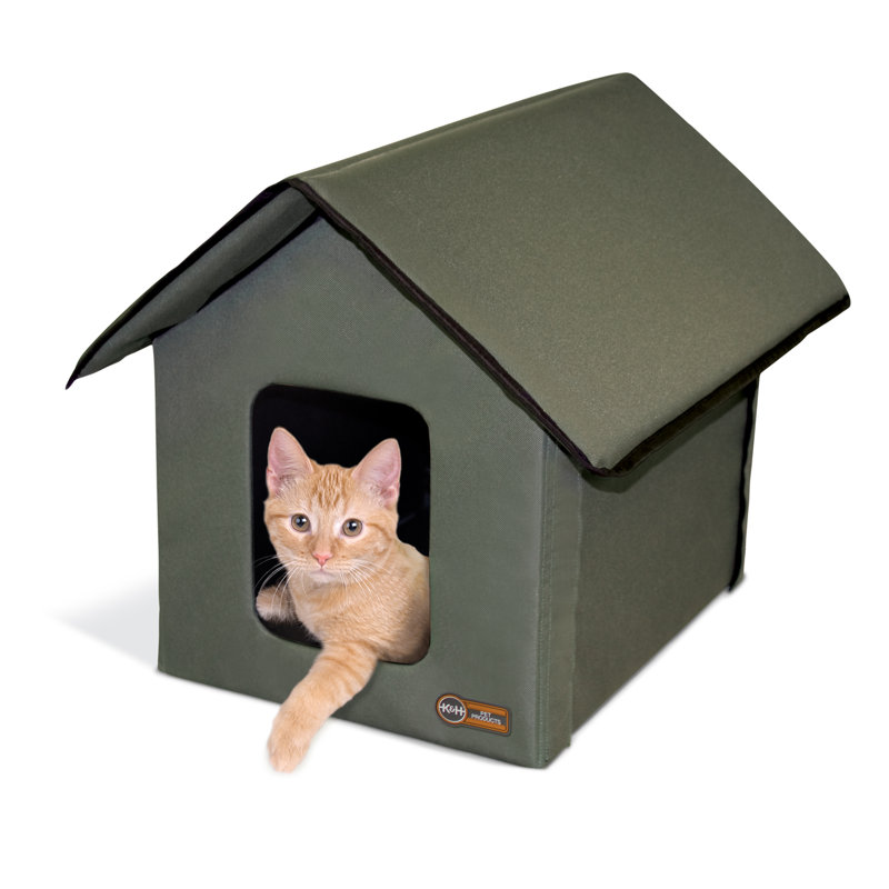 Cat House