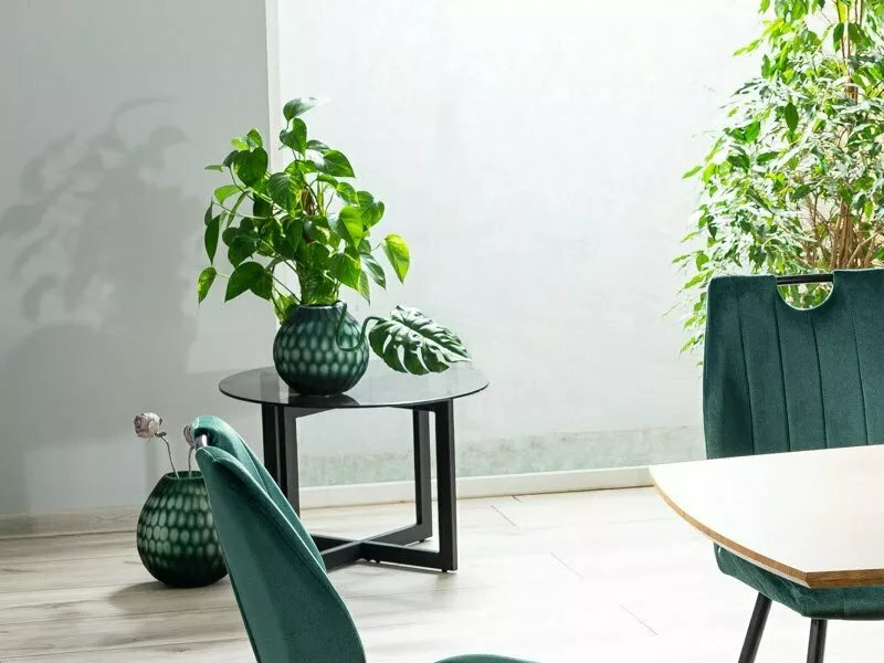 Danese Cross Legs Coffee Table, 42cm H x 80cm W x 80cm D