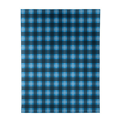 Plaid Indoor Rug
