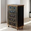 Armoire noire luxueuse de style américain