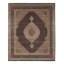 Oriental Area Rug in Brown