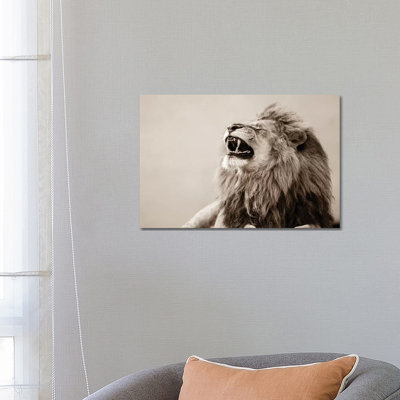 Lion 1 Piece Wrapped Canvas Wall Art