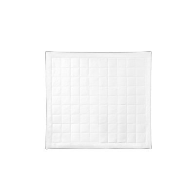 Light Warming Down Alternative Comforter