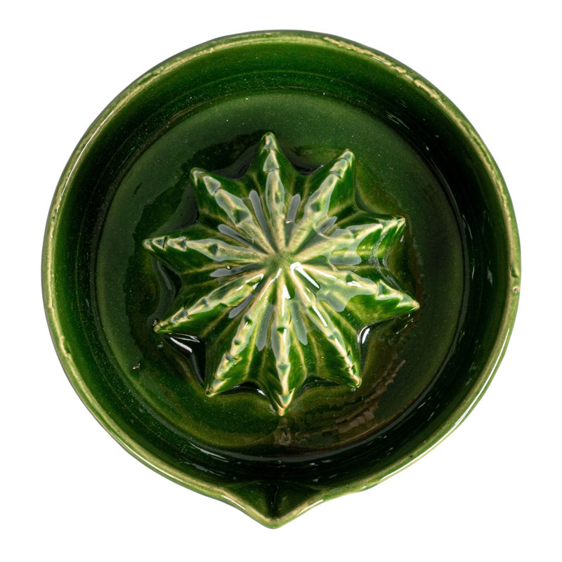 Cactus-Shaped Stoneware Juicer