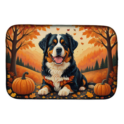 Tapis de séchage