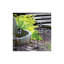 Bratenahl LED Pathway Light